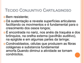 TECIDO CONJUNTIVO CARTILAGINOSO
 Bem    resistente;
 Dá sustentação e reveste superfícies articulares
  facilitando os movimentos e é fundamental para o
  crescimento dos ossos longos;
 É encontrada no nariz, nos anéis da traquéia e dos
  brônquios, na orelha externa (pavilhão auditivo),
  na epiglote e em algumas partes da laringe;
 Condrosblastos, células que produzem as fibras
  colágenas e substancia fundamental
  amorfa.Quando diminui a atividade se tornam
  condrócitos.
 