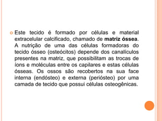    Este tecido é formado por células e material
    extracelular calcificado, chamado de matriz óssea.
    A nutrição de uma das células formadoras do
    tecido ósseo (osteócitos) depende dos canalículos
    presentes na matriz, que possibilitam as trocas de
    íons e moléculas entre os capilares e estas células
    ósseas. Os ossos são recobertos na sua face
    interna (endósteo) e externa (periósteo) por uma
    camada de tecido que possui células osteogênicas.
 