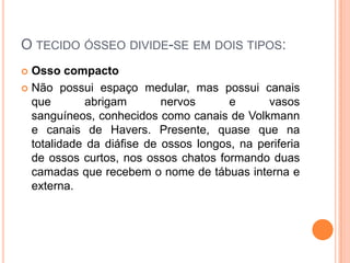 O TECIDO ÓSSEO DIVIDE-SE EM DOIS TIPOS:
 Osso compacto
 Não possui espaço medular, mas possui canais
  que       abrigam        nervos      e      vasos
  sanguíneos, conhecidos como canais de Volkmann
  e canais de Havers. Presente, quase que na
  totalidade da diáfise de ossos longos, na periferia
  de ossos curtos, nos ossos chatos formando duas
  camadas que recebem o nome de tábuas interna e
  externa.
 
