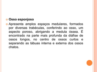  Osso esponjoso
 Apresenta amplos espaços medulares, formados
  por diversas trabéculas, conferindo ao osso, um
  aspecto poroso, abrigando a medula óssea. É
  encontrado na parte mais profunda da diáfise de
  ossos longos, no centro de ossos curtos e
  separando as tábuas interna e externa dos ossos
  chatos.
 