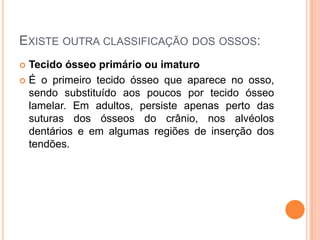 EXISTE OUTRA CLASSIFICAÇÃO DOS OSSOS:
 Tecido ósseo primário ou imaturo
 É o primeiro tecido ósseo que aparece no osso,
  sendo substituído aos poucos por tecido ósseo
  lamelar. Em adultos, persiste apenas perto das
  suturas dos ósseos do crânio, nos alvéolos
  dentários e em algumas regiões de inserção dos
  tendões.
 