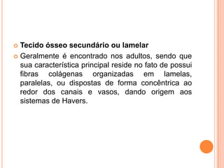 Tecido ósseo secundário ou lamelar
 Geralmente é encontrado nos adultos, sendo que
  sua característica principal reside no fato de possui
  fibras colágenas organizadas em lamelas,
  paralelas, ou dispostas de forma concêntrica ao
  redor dos canais e vasos, dando origem aos
  sistemas de Havers.
 