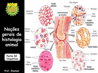 Noções
gerais de
histologia
  animal

  Parte 02
  Conjuntivos




 Prof. Emanuel
 