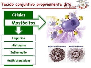 Tecido conjuntivo propriamente dito
                               Prof. Emanuel




      Células
      Mastócitos


      Heparina

      Histamina

     Inflamação

   Antihistamínicos
 