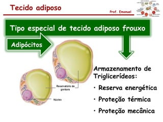 Tecido adiposo              Prof. Emanuel




Tipo especial de tecido adiposo frouxo

Adipócitos


                       Armazenamento de
                       Triglicerídeos:
                       • Reserva energética
                       • Proteção térmica
                       • Proteção mecânica
 