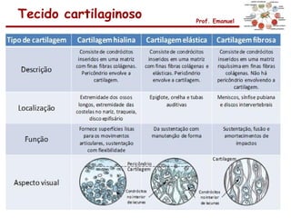 Tecido cartilaginoso   Prof. Emanuel
 