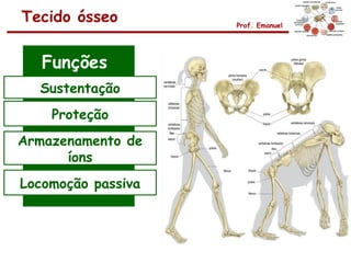 Tecido ósseo        Prof. Emanuel




   Funções
  Sustentação
    Proteção
Armazenamento de
      íons
Locomoção passiva
 