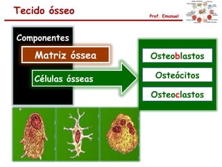 Tecido ósseo         Prof. Emanuel




Componentes

    Matriz óssea     Osteoblastos

    Células ósseas     Osteócitos

                     Osteoclastos
 