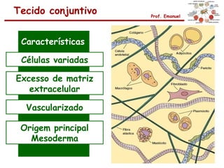 Tecido conjuntivo   Prof. Emanuel




 Características

 Células variadas

Excesso de matriz
   extracelular

  Vascularizado

 Origem principal
   Mesoderma
 