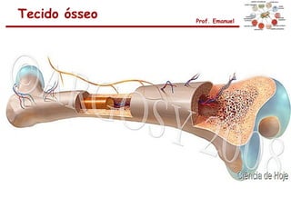 Tecido ósseo   Prof. Emanuel
 