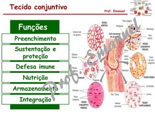 Tecido conjuntivo Prof. Emanuel
Funções
Preenchimento
Sustentação e
proteção
Defesa imune
Nutrição
Armazenamento
Integração
 
