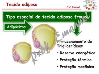 Tecido adiposo Prof. Emanuel
Armazenamento de
Triglicerídeos:
• Reserva energética
• Proteção térmica
• Proteção mecânica
Tipo especial de tecido adiposo frouxo
Adipócitos
 