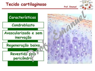 Tecido cartilaginoso Prof. Emanuel
Características
Condroblasto
Avascularizado e sem
inervação
Regeneração baixa
Revestido pelo
pericôndrio
 