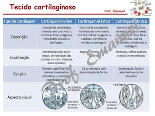 Tecido cartilaginoso Prof. Emanuel
 