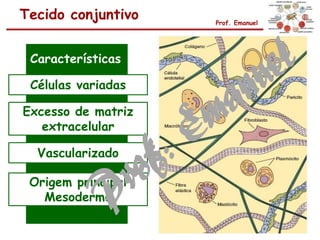 Tecido conjuntivo Prof. Emanuel
Características
Células variadas
Excesso de matriz
extracelular
Vascularizado
Origem principal
Mesoderma
 
