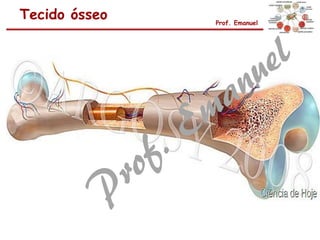 Tecido ósseo Prof. Emanuel
 