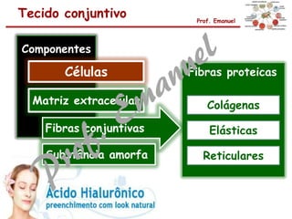 Tecido conjuntivo Prof. Emanuel
Componentes
Células
Fibras conjuntivas
Matriz extracelular
Fibras proteicas
Substância amorfa
Colágenas
Elásticas
Reticulares
 