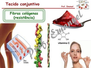 Tecido conjuntivo Prof. Emanuel
Fibras colágenas
(resistência)
 