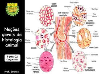Noções
gerais de
histologia
animal
Prof. Emanuel
Parte 02
Conjuntivos
 
