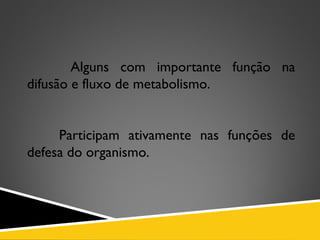 Alguns com importante função na
difusão e fluxo de metabolismo.
Participam ativamente nas funções de
defesa do organismo.
 