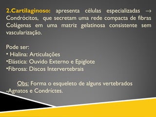 2.Cartilaginoso: apresenta células especializadas →
Condrócitos, que secretam uma rede compacta de fibras
Colágenas em uma matriz gelatinosa consistente sem
vascularização.
Pode ser:
• Hialina: Articulações
•Elástica: Ouvido Externo e Epiglote
•Fibrosa: Discos Intervertebrais
Obs: Forma o esqueleto de alguns vertebrados
-Agnatos e Condríctes.
 