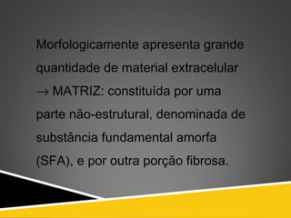 Morfologicamente apresenta grande
quantidade de material extracelular
→ MATRIZ: constituída por uma
parte não-estrutural, denominada de
substância fundamental amorfa
(SFA), e por outra porção fibrosa.
 