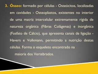 3. Ósseo: formado por células - Osteócitos, localizadas
em cavidades - Osteoplastos, existentes no interior
de uma matriz intercelular extremamente rígida de
natureza orgânica (Fibras Colágenas) e inorgânica
(Fosfato de Cálcio), que apresenta canais de ligação -
Havers e Volkmann, permitindo a nutrição destas
células. Forma o esqueleto encontrado na
maioria dos Vertebrados.
 
