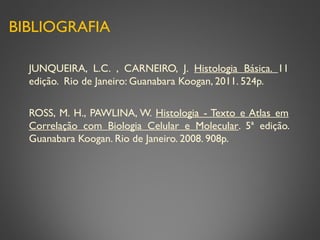 BIBLIOGRAFIA
JUNQUEIRA, L.C. , CARNEIRO, J. Histologia Básica. 11
edição. Rio de Janeiro: Guanabara Koogan, 2011. 524p.
ROSS, M. H., PAWLINA, W. Histologia - Texto e Atlas em
Correlação com Biologia Celular e Molecular. 5ª edição.
Guanabara Koogan. Rio de Janeiro. 2008. 908p.
 