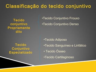 Classificação do tecido conjuntivo
Tecido
conjuntivo
Propriamente
dito
•Tecido Conjuntivo Frouxo
•Tecido Conjuntivo Denso
Tecido
Conjuntivo
Especializado
•Tecido Adiposo
•Tecido Sanguíneo e Linfático
• Tecido Ósseo
•Tecido Cartilaginoso
 