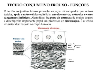 TECIDO CONJUNTIVO FROUXO - FUNÇÕES
O tecido conjuntivo frouxo preenche espaços não-ocupados por outros
tecidos, apoia e nutre células epiteliais, envolve nervos, músculos e vasos
sanguíneos linfáticos. Além disso, faz parte da estrutura de muitos órgãos
e desempenha importante papel em processos de cicatrização. É o tecido
de maior distribuição no corpo humano.
 