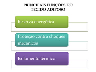 PRINCIPAIS FUNÇÕES DO
TECIDO ADIPOSO
Reserva energética
Proteção contra choques
mecânicos
Isolamento térmico
 