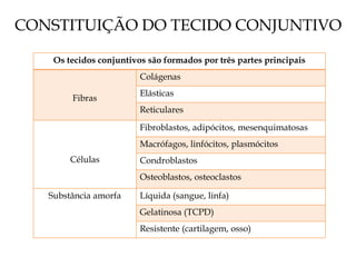 CONSTITUIÇÃO DO TECIDO CONJUNTIVO
Os tecidos conjuntivos são formados por três partes principais
Fibras
Colágenas
Elásticas
Reticulares
Células
Fibroblastos, adipócitos, mesenquimatosas
Macrófagos, linfócitos, plasmócitos
Condroblastos
Osteoblastos, osteoclastos
Substância amorfa Líquida (sangue, linfa)
Gelatinosa (TCPD)
Resistente (cartilagem, osso)
 