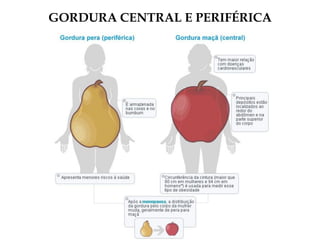 GORDURA CENTRAL E PERIFÉRICA
 