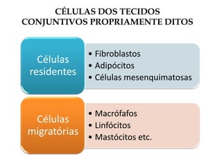 CÉLULAS DOS TECIDOS
CONJUNTIVOS PROPRIAMENTE DITOS
• Fibroblastos
• Adipócitos
• Células mesenquimatosas
Células
residentes
• Macrófafos
• Linfócitos
• Mastócitos etc.
Células
migratórias
 