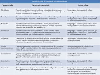 Principais tipos de células dos tecidos conjuntivos
Tipos de células Características principais Origem celular
Fibroblastos Presentes nos tecidos frouxos, tem forma estrelada e núcleo grande;
produzem as fibras e a substância amorfa da matriz extracelular. Quando
adultos, transformam-se em fibrócitos.
Surgem pela diferenciação de células
mesenquimatosas.
Macrófagos Presentes nos tecidos frouxos; tem forma ameboide e núcleo grande.
Fagocitam agentes invasores e alertam o sistema imunitário.
Surgem pela diferenciação de monócitos, que
se originam de células tronco multipotentes
da medula óssea vermelha.
Mastócitos Presentes nos tecidos frouxos; tem forma ovoide, núcleo central
arredondado e muitos grânulos citoplasmáticos, ricos em heparina e
histamina. Participam das reações alérgicas.
Surgem pela diferenciação de células tronco
multipotentes da medula óssea vermelha.
Plasmócitos Presentes nos tecidos frouxos; têm forma ovoide e núcleo central
arredondado, sendo rico em RE granuloso. Produzem anticorpos
(imunoglobulinas) que combatem agentes invasores.
Surgem pela diferenciação de linfócitos, que
se originam de células tronco multipotentes
da medula óssea vermelha.
Adipócitos Presentes no tecido adiposo; têm quando adultos, forma arredondada,
com um grande vacúolo central contendo lipídios. Armazenam
substâncias energéticas para momentos de necessidade.
Surgem pela diferenciação de células
mesenquimatosas.
Células
mesenquimatosas
Presentes nos tecidos frouxos e nas cápsulas envoltórias de cartilagens,
ossos e órgãos hemocitopoiéticos. São capazes de originar diversas
células do tecido conjuntivo.
Surgem diretamente de células-tronco
embrionárias (totipotentes).
Condroblastos Presentes nas cartilagens; têm forma arredondada e núcleo central.
Produzem as fibras e a substância amorfa da matriz cartilaginosa.
Quando adultos transformam-se em condrócitos.
Surgem pela diferenciação de células
mesenquimatosas
Osteoblastos Presentes nos ossos; têm núcleo central e longos prolongamentos
citoplasmáticos. Produzem as fibras e a substância amorfa da matriz
óssea. Quando adultos, transformam-se em osteócitos.
Surgem pela diferenciação de células
mesenquimatosas
Osteoclastos Presentes nos ossos, são grandes e multinucleados. Degradam a matriz
óssea, promovendo a reciclagem do tecido ósseo.
Surgem pela diferenciação de 6 a 50
monócitos. Estes são células brancas sangue
que se originam de células-tronco
multipotentes da medula óssea vermelha.
 