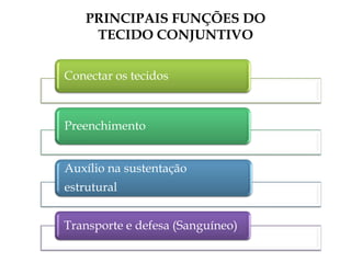 PRINCIPAIS FUNÇÕES DO
TECIDO CONJUNTIVO
Conectar os tecidos
Preenchimento
Auxílio na sustentação
estrutural
Transporte e defesa (Sanguíneo)
 