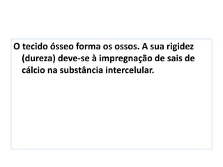 O tecido ósseo forma os ossos. A sua rigidez
(dureza) deve-se à impregnação de sais de
cálcio na substância intercelular.
 