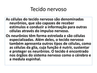 Tecido nervoso
As células do tecido nervoso são denominadas
neurônios, que são capazes de receber
estímulos e conduzir a informação para outras
células através do impulso nervoso.
Os neurônios têm forma estrelada e são células
especializadas. Além deles, o tecido nervoso
também apresenta outros tipos de células, como
as células da glia, cuja função é nutrir, sustentar
e proteger os neurônios. O tecido é encontrado
nos órgãos do sistema nervoso como o cérebro e
a medula espinhal.
 