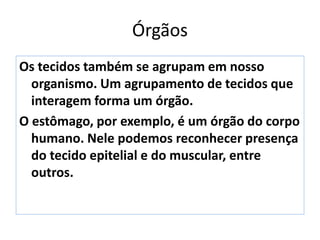 Órgãos
Os tecidos também se agrupam em nosso
organismo. Um agrupamento de tecidos que
interagem forma um órgão.
O estômago, por exemplo, é um órgão do corpo
humano. Nele podemos reconhecer presença
do tecido epitelial e do muscular, entre
outros.
 