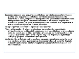 Os rapazes possuem uma pequena quantidade de hormônios sexuais femininos, as
garotas, uma pequena quantidade de hormônios sexuais masculinos. Na
puberdade, às vezes, um pequeno desequilíbrio na quantidade desses hormônios
pode provocar um ligeiro crescimento das mamas nos rapazes ou pêlos em
excesso nas garotas. Em geral, isso desaparece com o tempo, mas, se persistir, o
mais aconselhável é procurar orientação médica.
Na região genital, encontramos o pênis e o saco escrotal.
Pênis e a Ejaculação – O pênis é um órgão de forma cilíndrica e constituído
principalmente por tecido erétil, ou seja, que tem capacidade de se erguer. Com a
excitação sexual, esse tecido e banhado e preenchido por maior quantidade de
sangue, o que torna o pênis ereto e rígido. Na ponta do pênis, há a glande (a
“cabeça”), que pode estar coberta pelo prepúcio.
Na glande, há o orifício da uretra, canal que no corpo masculino se comunica tanto
com o sistema urinário quanto com o sistema reprodutor. O tamanho do pênis
varia entre os homens e não tem relação biológica com fertilidade e nem com
potência sexual.
 