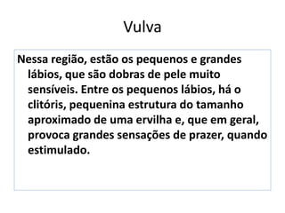 Vulva
Nessa região, estão os pequenos e grandes
lábios, que são dobras de pele muito
sensíveis. Entre os pequenos lábios, há o
clitóris, pequenina estrutura do tamanho
aproximado de uma ervilha e, que em geral,
provoca grandes sensações de prazer, quando
estimulado.
 