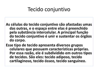 Tecido conjuntivo
As células do tecido conjuntivo são afastadas umas
das outras, e o espaço entre elas é preenchido
pela substância intercelular. A principal função
do tecido conjuntivo é unir e sustentar os órgãos
do corpo.
Esse tipo de tecido apresenta diversos grupos
celulares que possuem características próprias.
Por essa razão, ele é subdividido em outros tipos
de tecidos. São eles: tecido adiposo, tecido
cartilaginoso, tecido ósseo, tecido sanguíneo.
 