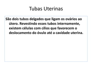 Tubas Uterinas
São dois tubos delgados que ligam os ovários ao
útero. Revestindo esses tubos internamente,
existem células com cílios que favorecem o
deslocamento do óvulo até a cavidade uterina.
 