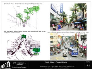 Calçadão de Osasco : Predominância da Perspectiva feita pelos Coqueiros.
Rua João Batista: Amostra de uma poluição visual, prevalecendo casas antigas
usadas para comércio/serviço.
Panorama inicial rapidamente assimilado. (Rua que se prolonga em linha reta).
13.2
 