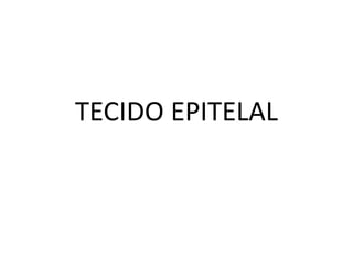 TECIDO EPITELAL 