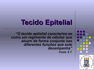 Tecido Epitelial ,[object Object],[object Object]