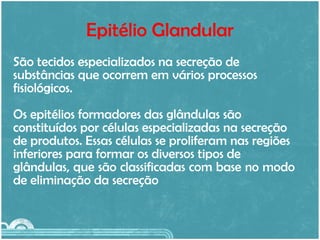 Epitélio Glandular São tecidos especializados na secreção de  substâncias que ocorrem em vários processos  fisiológicos. Os epitélios formadores das glândulas são  constituídos por células especializadas na secreção  de produtos. Essas células se proliferam nas regiões  inferiores para formar os diversos tipos de  glândulas, que são classificadas com base no modo  de eliminação da secreção 