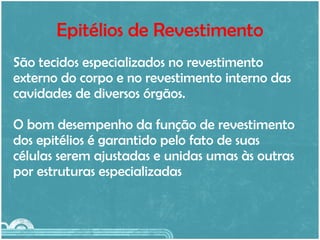 Epitélios de Revestimento São tecidos especializados no revestimento  externo do corpo e no revestimento interno das  cavidades de diversos órgãos. O bom desempenho da função de revestimento  dos epitélios é garantido pelo fato de suas  células serem ajustadas e unidas umas às outras por estruturas especializadas 