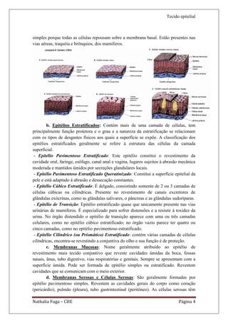 Tecido epitelial



simples porque todas as células repousam sobre a membrana basal. Estão presentes nas
vias aéreas, traquéia e brônquios, dos mamíferos.




        b. Epitélios Estratificados: Contém mais de uma camada de células, tem
principalmente função protetora e o grau e a natureza da estratificação se relacionam
com os tipos de desgastes físicos aos quais a superfície se expõe. A classificação dos
epitélios estratificados geralmente se refere à estrutura das células da camada
superficial.
 - Epitélio Pavimentoso Estratificado: Este epitélio constitui o revestimento da
cavidade oral, faringe, esôfago, canal anal e vagina, lugares sujeitos à abrasão mecânica
moderada e mantidos úmidos por secreções glandulares locais.
 - Epitélio Pavimentoso Estratificado Queratinizado: Constitui a superfície epitelial da
pele e está adaptado à abrasão e dessecação constantes.
 - Epitélio Cúbico Estratificado: É delgado, consistindo somente de 2 ou 3 camadas de
células cúbicas ou cilíndricas. Presente no revestimento de canais excretores de
glândulas exócrinas, como as glândulas salivares, o pâncreas e as glândulas sudoríparas.
 - Epitélio de Transição: Epitélio estratificado quase que unicamente presente nas vias
urinárias de mamíferos. É especializado para sofrer distensões e a resistir à toxidez da
urina. No órgão distendido o epitélio de transição aparece com uma ou três camadas
celulares, como no epitélio cúbico estratificado; no órgão vazio parece ter quatro ou
cinco camadas, como no epitélio pavimentoso estratificado.
 - Epitélio Cilíndrico (ou Prismático) Estratificado: contém várias camadas de células
cilíndricas, encontra-se revestindo a conjuntiva do olho e sua função é de proteção.
        c. Membranas Mucosas: Nome geralmente atribuído ao epitélio de
revestimento mais tecido conjuntivo que reveste cavidades úmidas da boca, fossas
nasais, ânus, tubo digestivo, vias respiratórias e genitais. Sempre se apresentam com a
superfície úmida. Pode ser formada de epitélio simples ou estratificado. Revestem
cavidades que se comunicam com o meio exterior.
        d. Membranas Serosas e Células Serosas: São geralmente formadas por
epitélio pavimentoso simples. Revestem as cavidades gerais do corpo como coração
(pericárdio), pulmão (pleura), tubo gastrintestinal (peritôneo). As células serosas têm

Nathalia Fuga – CHE                                                            Página 4
 