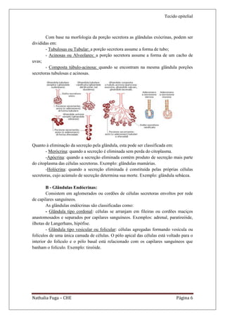 Tecido epitelial



       Com base na morfologia da porção secretora as glândulas exócrinas, podem ser
divididas em:
       - Tubulosas ou Tubular: a porção secretora assume a forma de tubo;
       - Acinosas ou Alveolares: a porção secretora assume a forma de um cacho de
uvas;
       - Composta túbulo-acinosa: quando se encontram na mesma glândula porções
secretoras tubulosas e acinosas.




Quanto à eliminação da secreção pela glândula, esta pode ser classificada em:
       - Merócrina: quando a secreção é eliminada sem perda do citoplasma.
       -Apócrina: quando a secreção eliminada contém produto de secreção mais parte
do citoplasma das células secretoras. Exemplo: glândulas mamárias.
       -Holócrina: quando a secreção eliminada é constituída pelas próprias células
secretoras, cujo acúmulo de secreção determina sua morte. Exemplo: glândula sebácea.

        B - Glândulas Endócrinas:
        Consistem em aglomerados ou cordões de células secretoras envoltos por rede
de capilares sanguíneos.
        As glândulas endócrinas são classificadas como:
        - Glândula tipo cordonal: células se arranjam em fileiras ou cordões maciços
anastomosados e separados por capilares sanguíneos. Exemplos: adrenal, paratireóide,
ilhotas de Langerhans, hipófise.
        - Glândula tipo vesicular ou folicular: células agregadas formando vesícula ou
folículos de uma única camada de células. O pólo apical das células está voltado para o
interior do folículo e o pólo basal está relacionado com os capilares sanguíneos que
banham o folículo. Exemplo: tireóide.




Nathalia Fuga – CHE                                                           Página 6
 